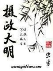 摄政大明封面