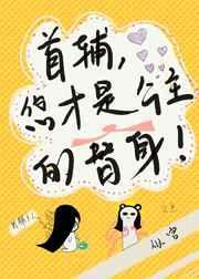 首辅，您才是公主的替身！封面