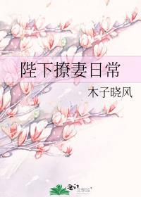 陛下撩妻日常封面