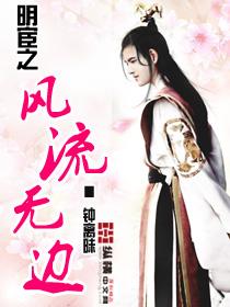 明宦之风流无边封面
