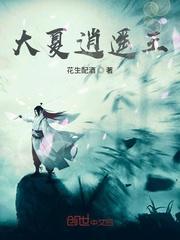 大夏逍遥王封面