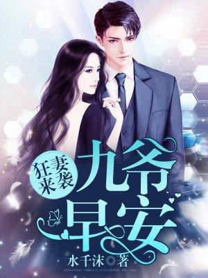 九爷的心尖宠墨心儿封面