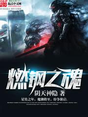 燃钢之魂封面