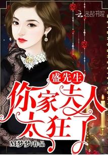 盛先生，你家夫人太狂了！封面