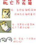 死亡万花筒封面