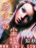 历史的尘埃封面