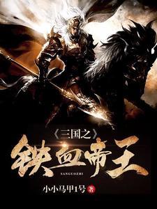 三国之铁血帝王封面