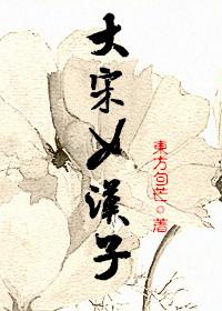 大宋女汉子封面