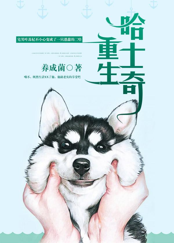 重生哈士奇封面