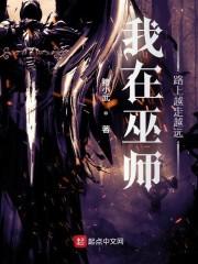 我在巫师路上越走越远封面