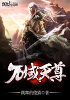 万域天尊封面