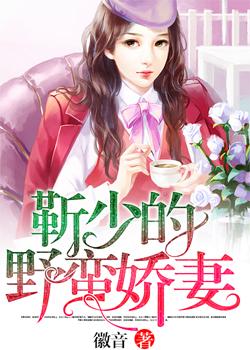 靳少的野蛮娇妻封面