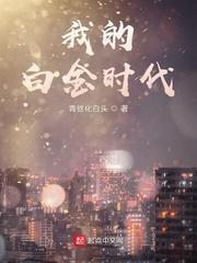 我的白金时代封面