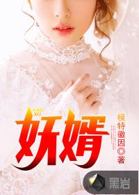 妖婿封面