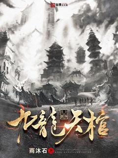 九龙天棺封面