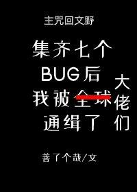 集齐七个BUG后我被大佬们通缉了封面