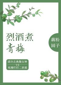 烈酒煮青梅封面