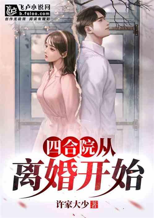 四合院：从离婚开始封面