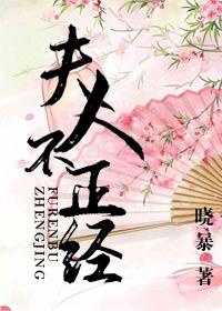 夫人不正经封面
