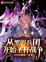 从黑影兵团开始圣杯战争封面