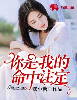 你是我的命中注定封面