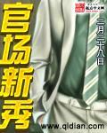 官场新秀封面