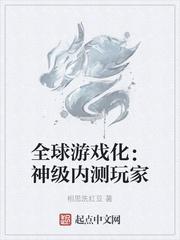 全球游戏化：神级内测玩家封面