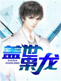 盖世枭龙封面