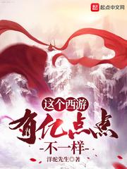 这个西游：有亿点点不一样封面