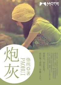 炮灰封面