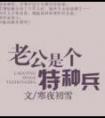 老公是个特种兵(无言)封面