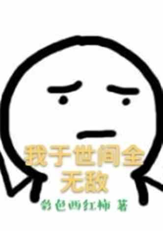 我于世间全无敌封面