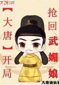 大唐：开局抢回武媚娘封面