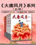 大唐风月系列（全4本）封面
