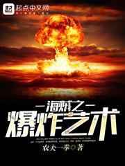 海贼之爆炸艺术封面