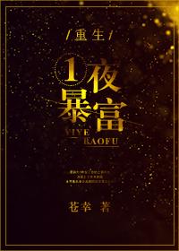重生一夜暴富封面