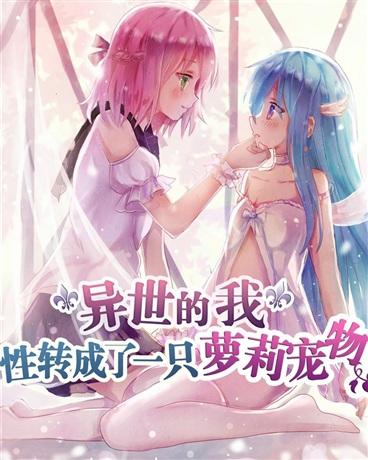签订宠物契约的天使少女封面
