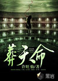 葬天命封面