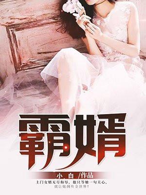 上门女婿林浩封面