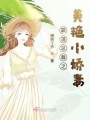 我走后，宋先生说他爱我封面