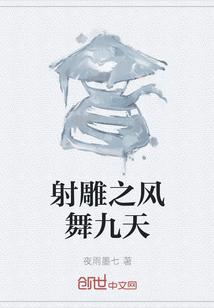 射雕之风舞九天封面
