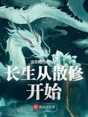 长生从散修开始封面