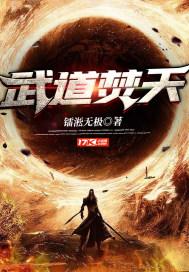 武道焚天封面