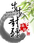 步步封疆封面