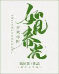 喜欢你时，如见春光封面