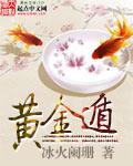 黄金遁封面