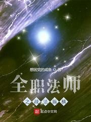 全职法师之战法纵横封面