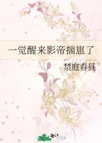 一觉醒来影帝揣崽了封面