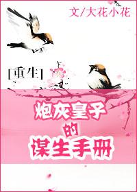 炮灰皇子的谋生手册封面