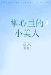 掌心里的小美人封面